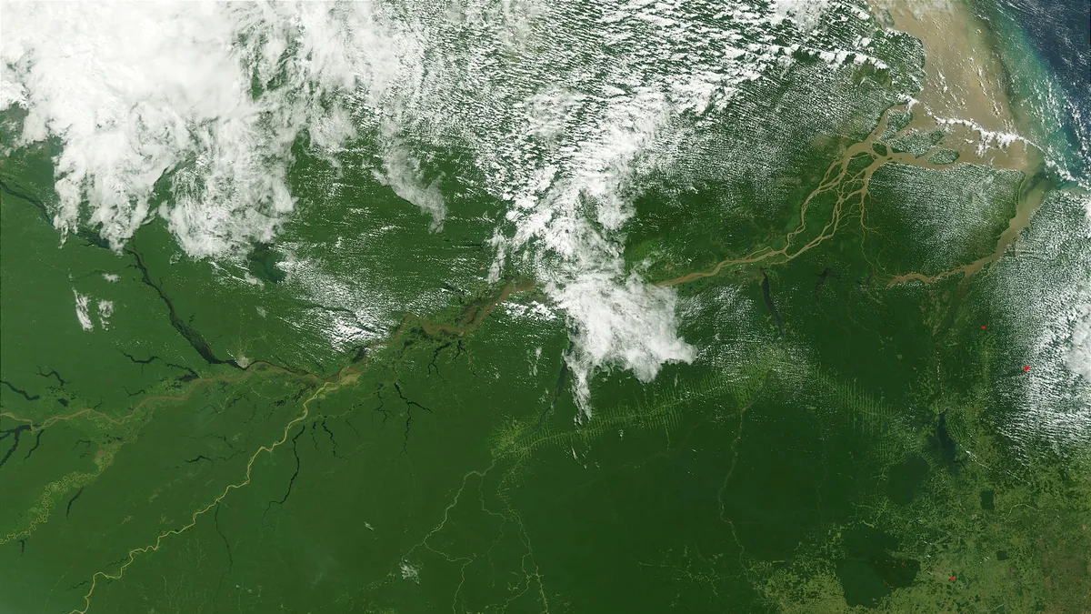 The Amazon travel guide