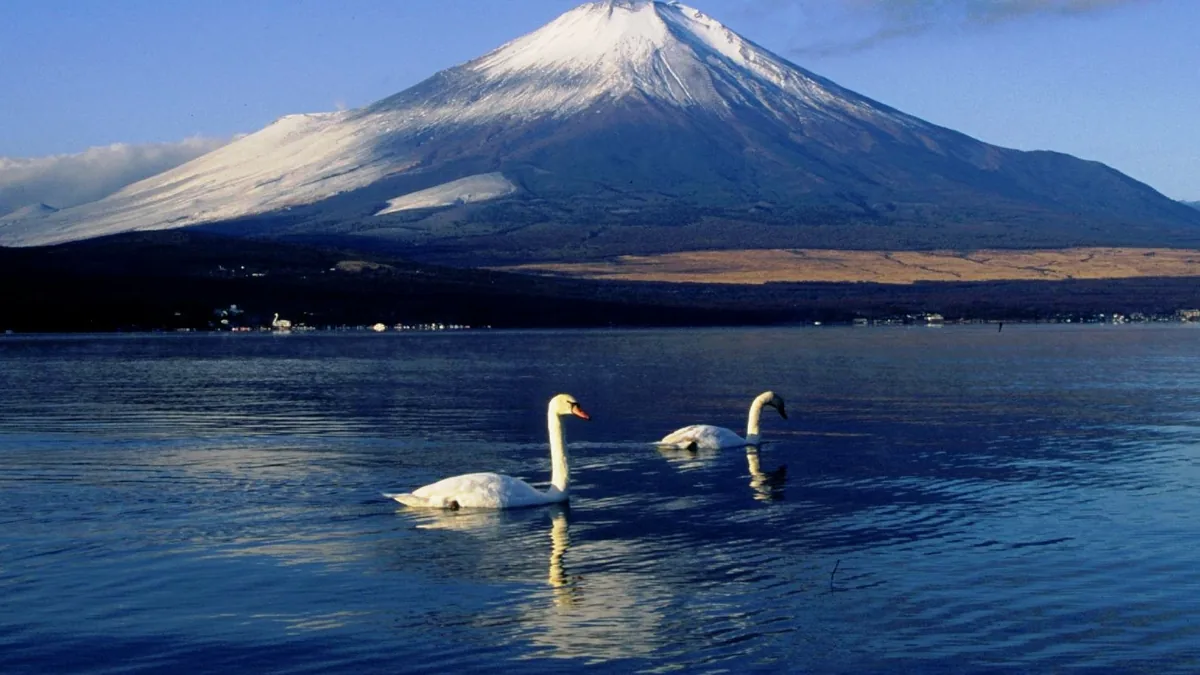 Japan travel guide