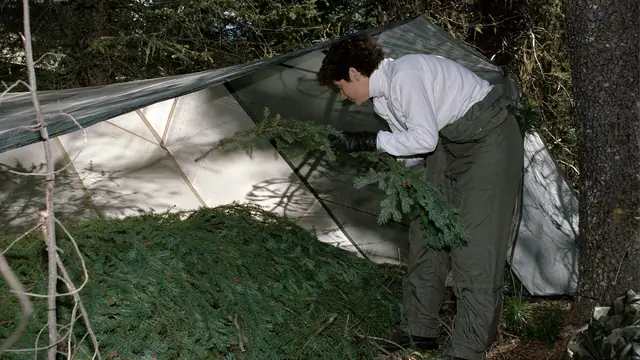 How to Build a Survival Shelter in the Wild: 6 Designs That Actually Keep You Dry