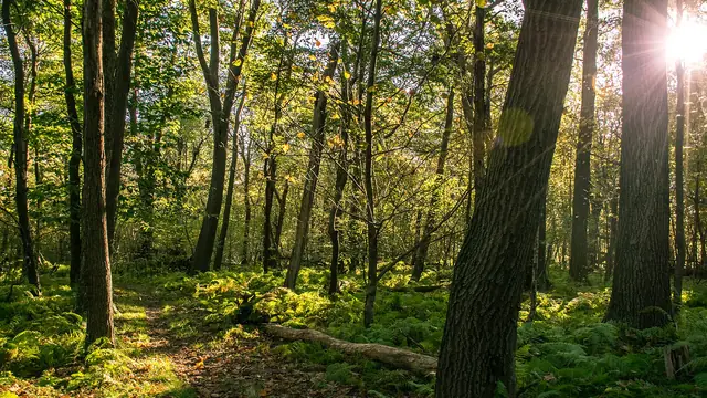 My First Solo Backpacking Trip: 5 Lessons I Learned the Hard Way