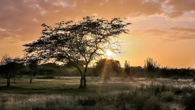 Travel Photography Tips for Beginners: Capture Better Trip Photos