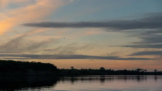What Happens If You Get Lost in the Amazon Rainforest?